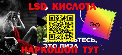 тгк Кингисепп