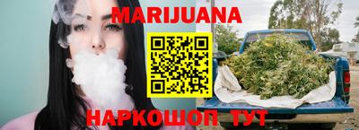 тгк Кингисепп