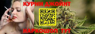 тгк Кингисепп