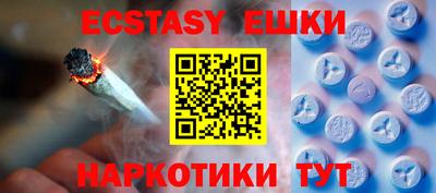 тгк Кингисепп