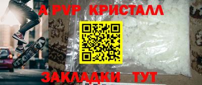 тгк Кингисепп